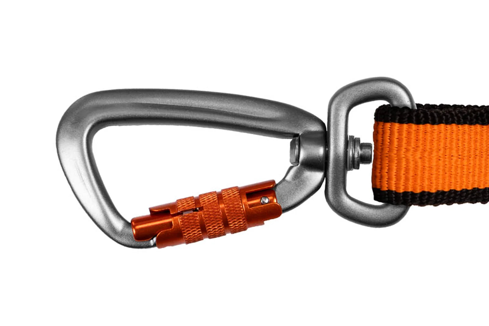 Bungee Leash
