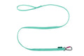 Bungee Leash