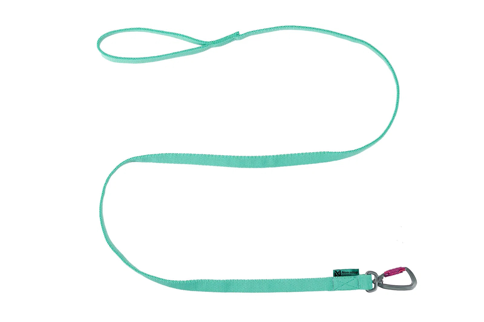 Bungee Leash