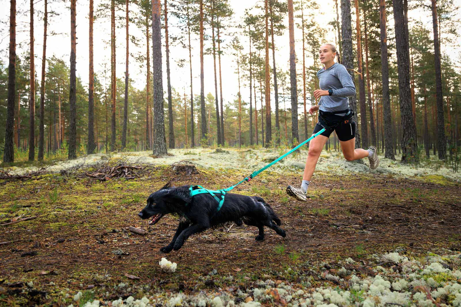Bungee Leash