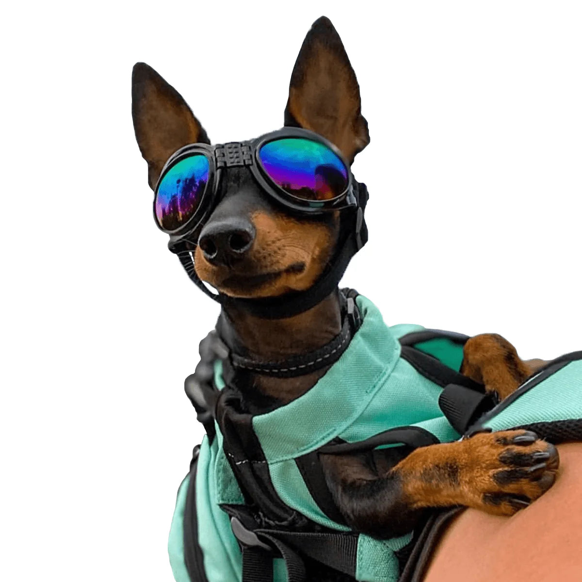 Schutzbrille – Schutz vor Sonne und Fremdkörpern