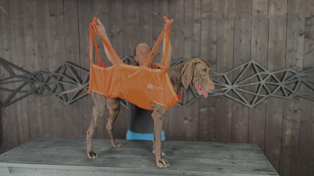 Dog Rescue Sling