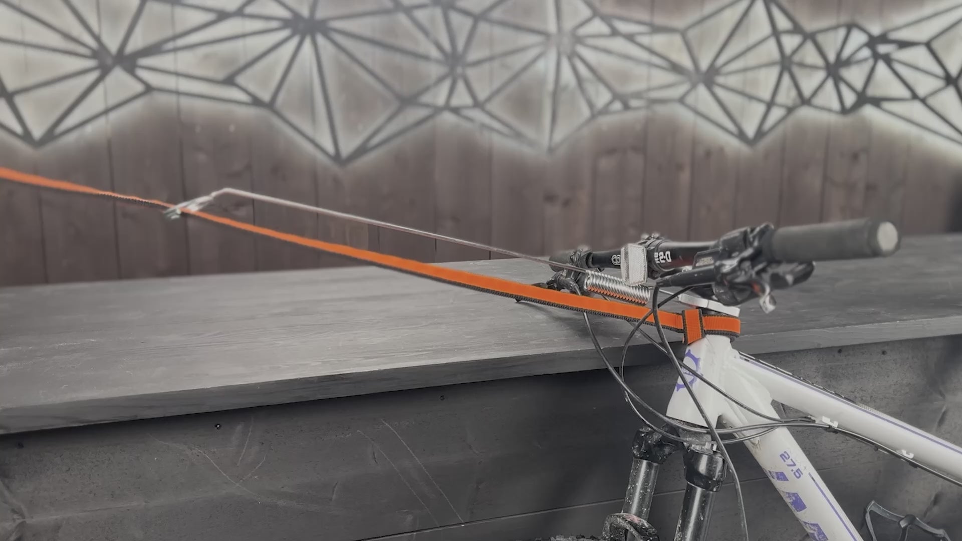Bike Antenna for Dog
