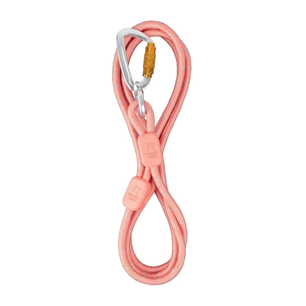 Rope Leash - Thin
