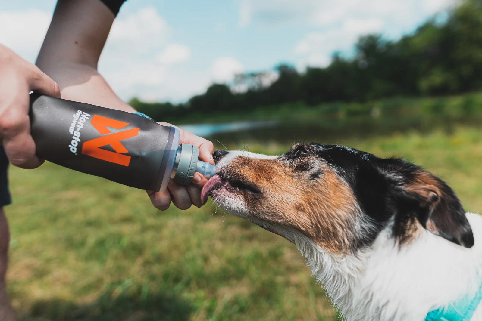 Water Bottle - Softflask 500ml