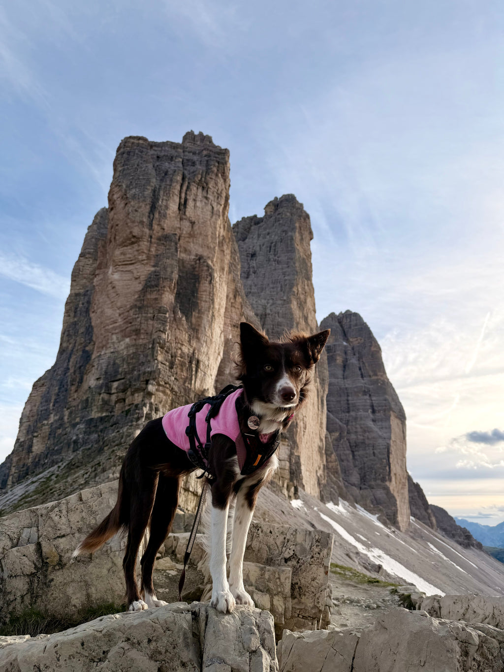 Rock Harness Long