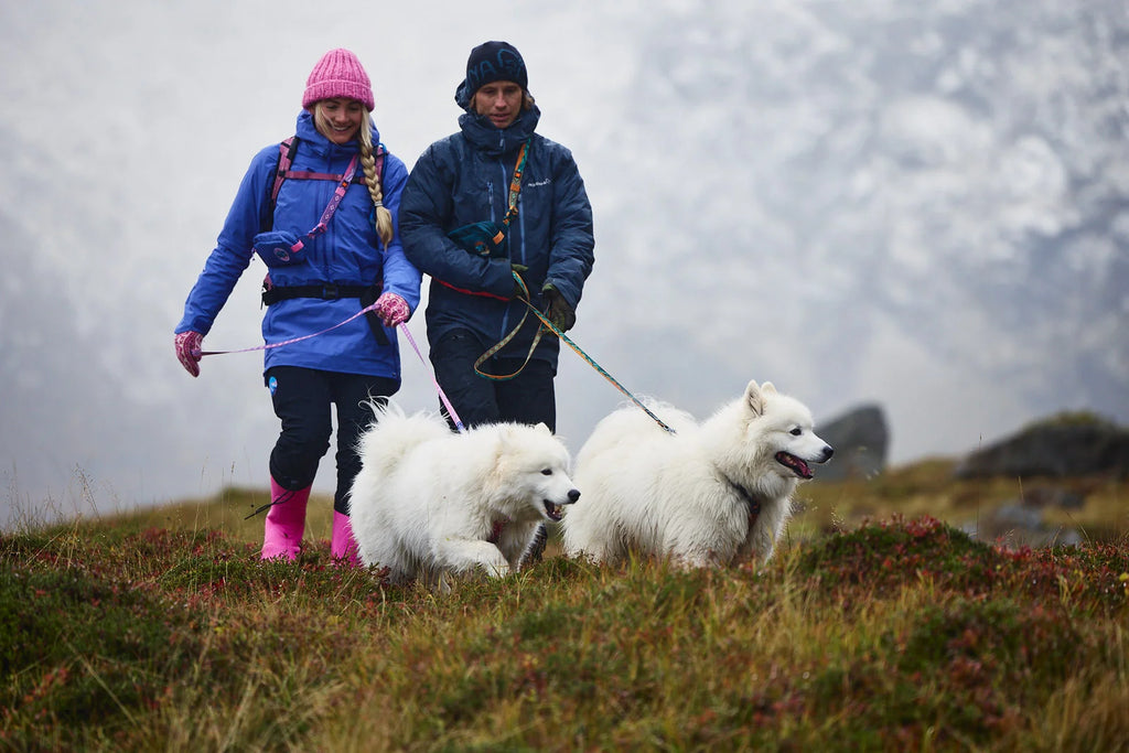 Trail Quest Leash